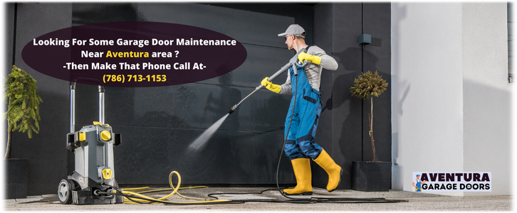 Garage Door Maintenance Aventura FL